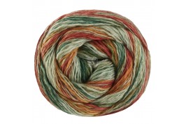 Gomitolo California 3047